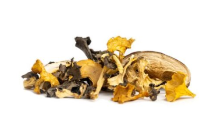 Waldpilzmischung getrocknet Sano Pilz